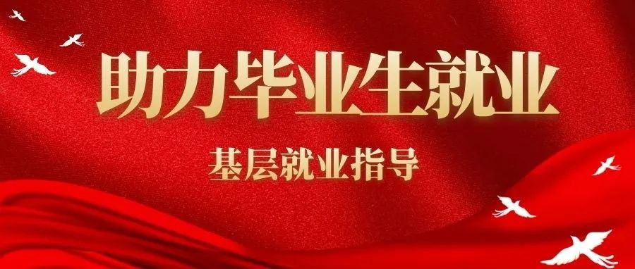 助力就业|团委组织开展毕业生基层就业指导系列讲座