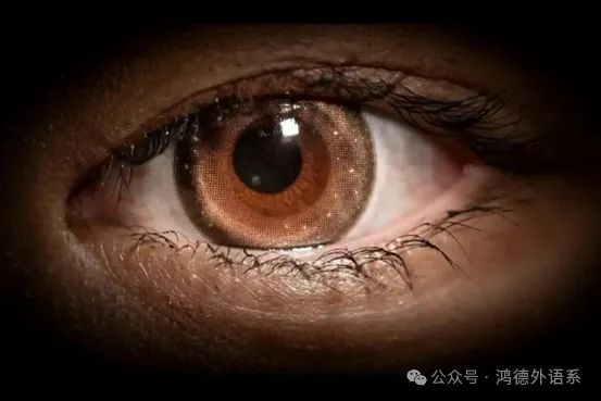 微信图片_20250331171838.jpg